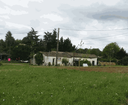 La Miel - Echantillon n°1 pour trois colonnes