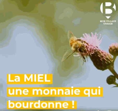 System • Image et Texte